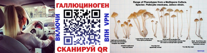 mega ссылки Абдулино Псилоцибиновые грибы прущие грибы